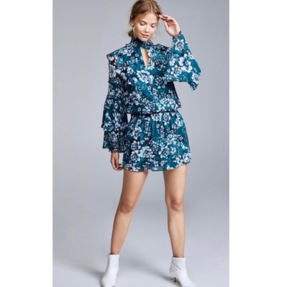 Parker Dresses & Skirts - Parker Everglade Garden Brooke Ruffle Dress